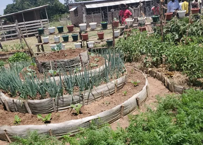 Legisco International Agric Solutions | Legisco Farmers | Legisco International Company Farm